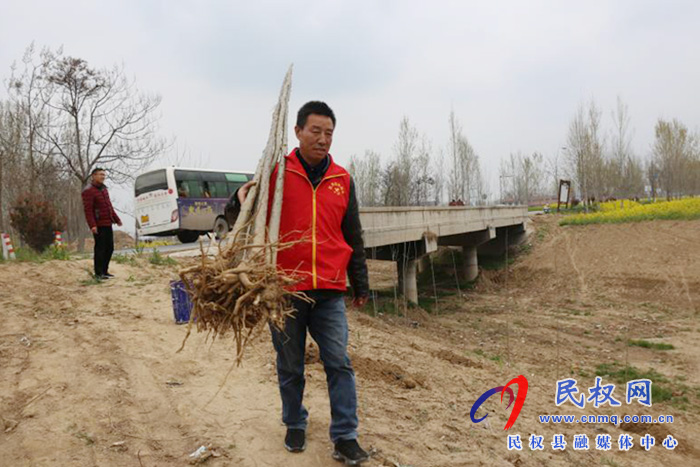 白云寺鎮(zhèn)財政所開展義務植樹活動 白云寺鎮(zhèn)財政所開展義務植樹活動