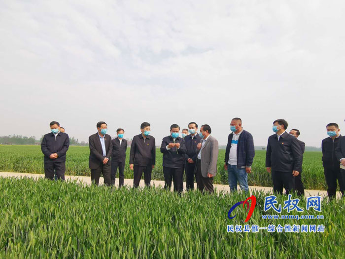 副省長武國定蒞調(diào)研夏糧生產(chǎn)工作時強調(diào):打好小麥病蟲害防治硬仗 確保夏糧豐收糧食安全 副省長武國定蒞調(diào)研夏糧生產(chǎn)工作時強調(diào):打好小麥病蟲害防治硬仗 確保夏糧豐收糧食安全