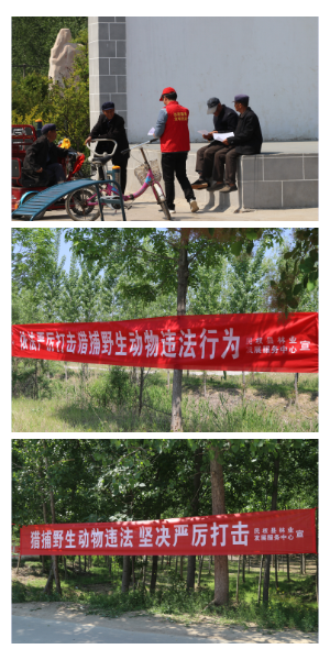 縣林業(yè)發(fā)展服務中心積極開展野生動物保護宣傳活動
