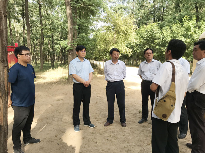 省專家組蒞民檢查創(chuàng)建省級(jí)森林城市工作