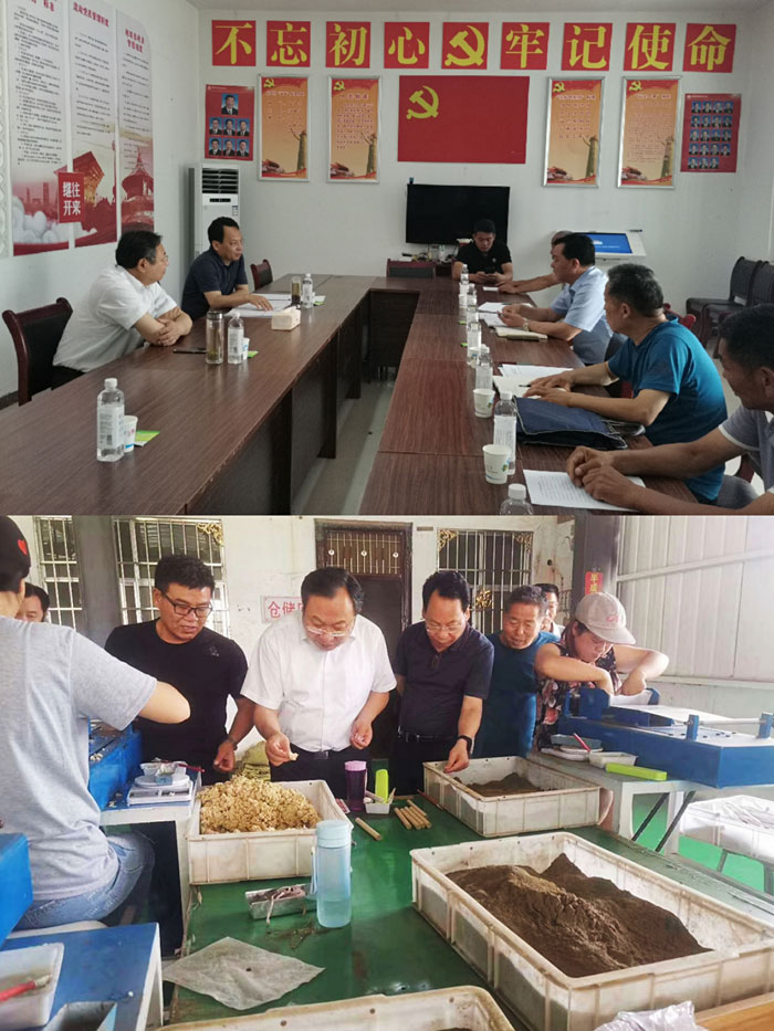 市委常委、常務副市長吳祖明到龍?zhí)伶?zhèn)開展“三?五”基層工作日活動