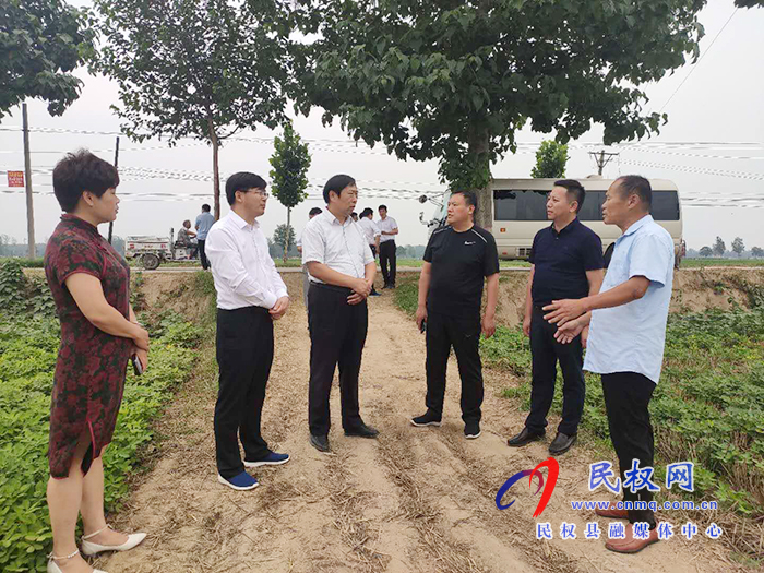 省農(nóng)業(yè)農(nóng)村廳黨組成員、總農(nóng)藝師王俊忠到我縣調(diào)研花生生產(chǎn)情況