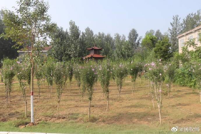 北關鎮(zhèn):建成首個鄉(xiāng)鎮(zhèn)文化體育公園 北關鎮(zhèn):建成首個鄉(xiāng)鎮(zhèn)文化體育公園