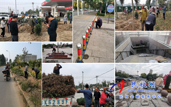 縣園林綠化中心創(chuàng)建國(guó)家文明城市（提名城市）工作成效斐然