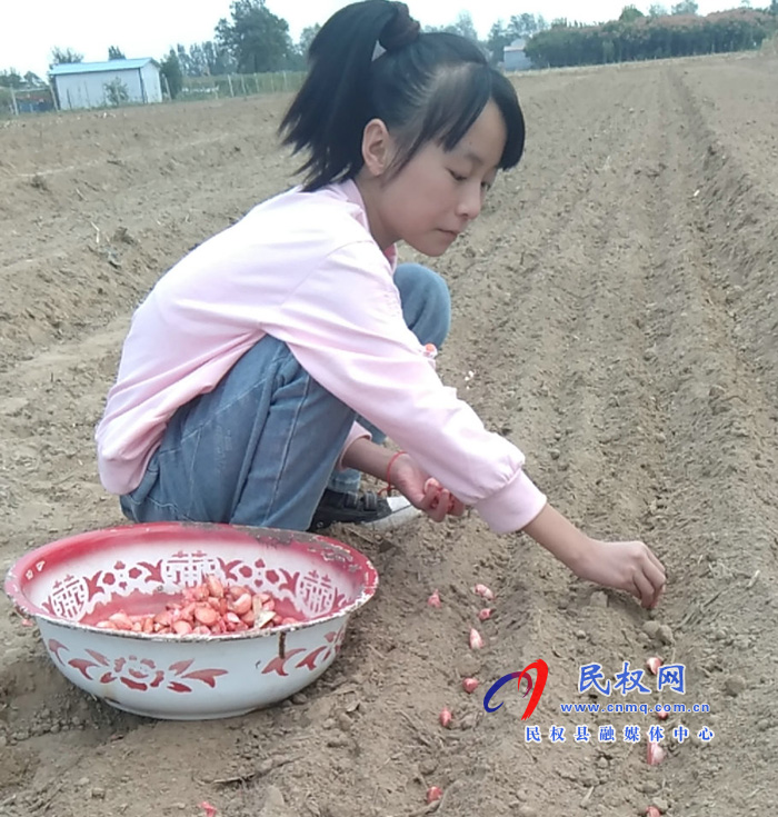 民權(quán)縣實(shí)驗(yàn)小學(xué)開展“我是勞動(dòng)小能手”勞動(dòng)體驗(yàn)活動(dòng) 民權(quán)縣實(shí)驗(yàn)小學(xué)開展“我是勞動(dòng)小能手”勞動(dòng)體驗(yàn)活動(dòng)