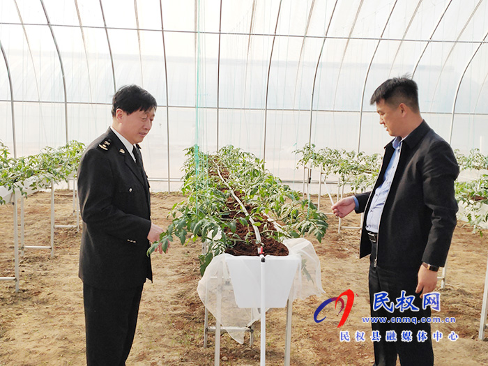 縣委常委、副縣長房季到雙塔鎮(zhèn)蘆筍大棚產業(yè)園調研產業(yè)發(fā)展