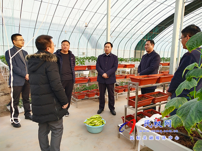 中國蔬菜流通協(xié)會(huì)到我縣調(diào)研高效農(nóng)業(yè)發(fā)展情況 中國蔬菜流通協(xié)會(huì)到我縣調(diào)研高效農(nóng)業(yè)發(fā)展情況