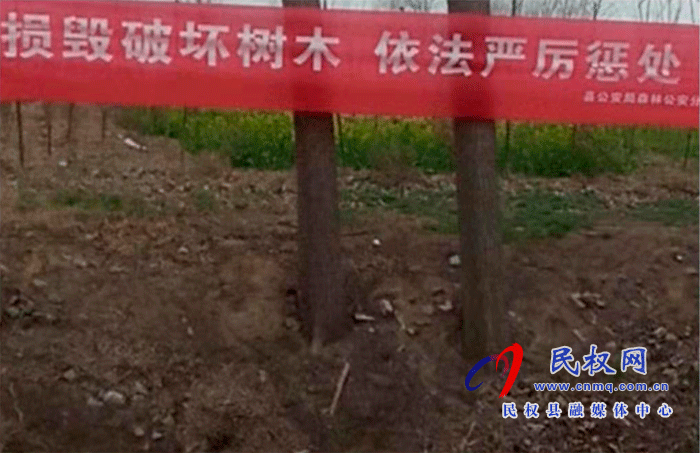 林業(yè)發(fā)展服務(wù)中心開展打擊破壞森林資源專項(xiàng)行動(dòng) 林業(yè)發(fā)展服務(wù)中心開展打擊破壞森林資源專項(xiàng)行動(dòng)