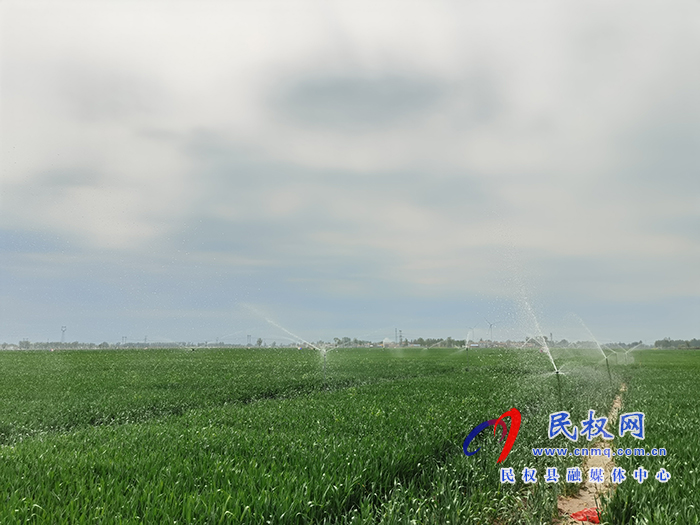 市人大常委會副主任、縣委書記姬脈常察看春季農(nóng)業(yè)生產(chǎn)及高標準糧田建設(shè)工作