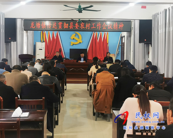 龍?zhí)伶?zhèn):傳達貫徹縣委農村工作會議精神 龍?zhí)伶?zhèn):傳達貫徹縣委農村工作會議精神