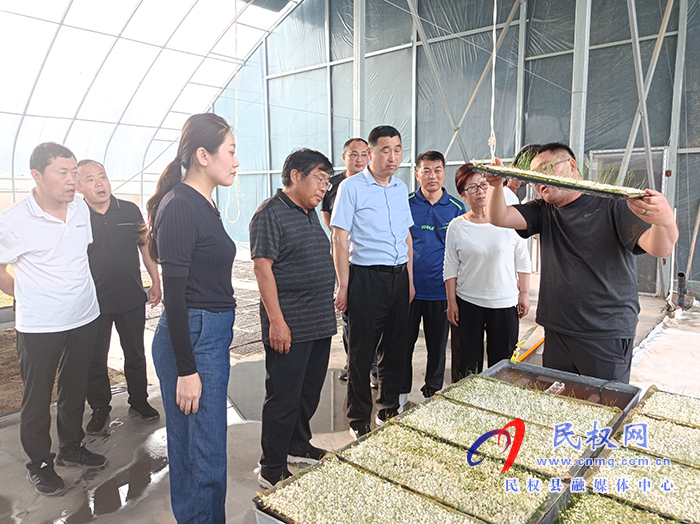 縣政協(xié)副主席劉偉調(diào)研我縣特色優(yōu)質(zhì)農(nóng)產(chǎn)品基地建設情況