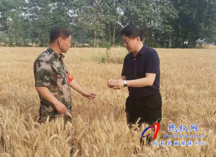 縣委常委、副縣長(zhǎng)房季到龍?zhí)伶?zhèn)檢查督導(dǎo)三夏生產(chǎn)、秸稈禁燒工作