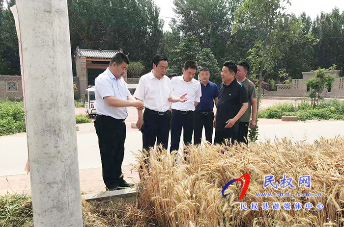 市人大常委會(huì)副主任、縣委書(shū)記姬脈常到我縣部分鄉(xiāng)鎮(zhèn)查看“三夏”生產(chǎn)工作