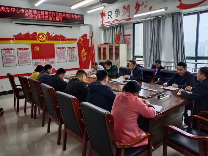縣規(guī)劃中心傳達(dá)貫徹全縣脫貧攻堅成果同鄉(xiāng)村振興有效銜接推進(jìn)會會議精神