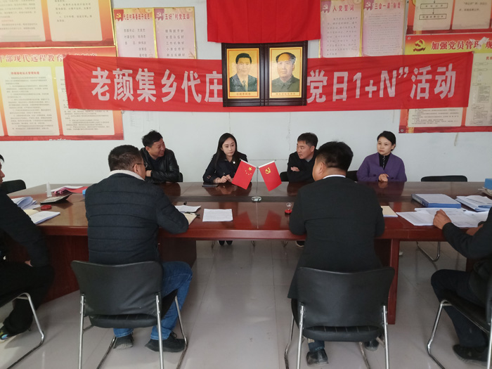 副縣長朱琳、李天樁到老顏集鄉(xiāng)督導脫貧攻堅后評估工作、整村推進和人居環(huán)境整治工作