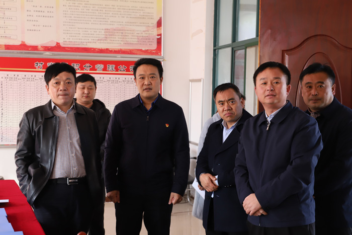 縣委常委、組織部長王義彬到林七鄉(xiāng)調(diào)研督導鞏固拓展脫貧攻堅成果后評估工作