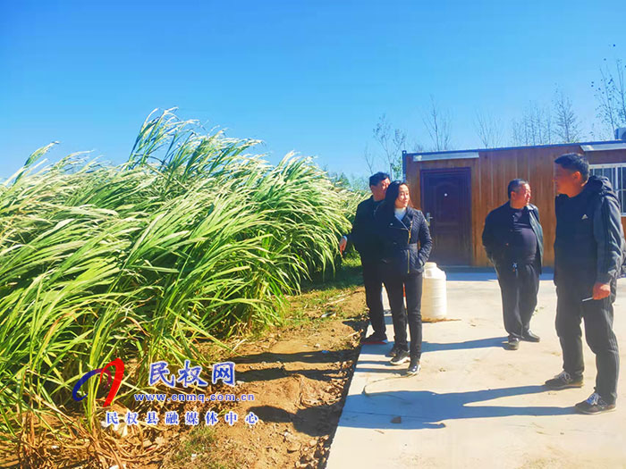 副縣長(zhǎng)朱琳到老顏集鄉(xiāng)調(diào)研撤村并居、產(chǎn)業(yè)發(fā)展等工作