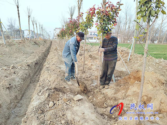 白云寺鎮(zhèn):植樹添新綠，不負(fù)好春光