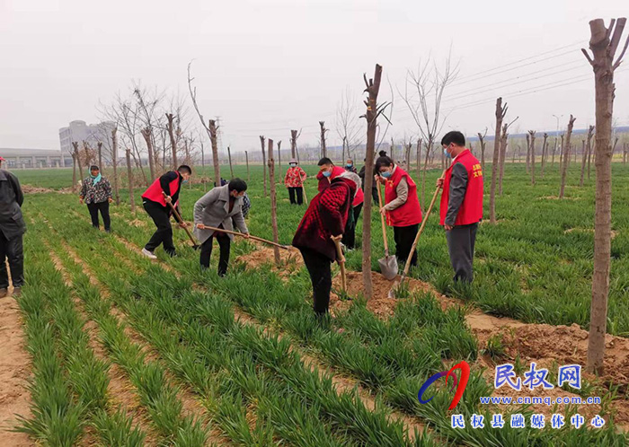 春暖三月學(xué)雷鋒，植樹護(hù)綠我先行