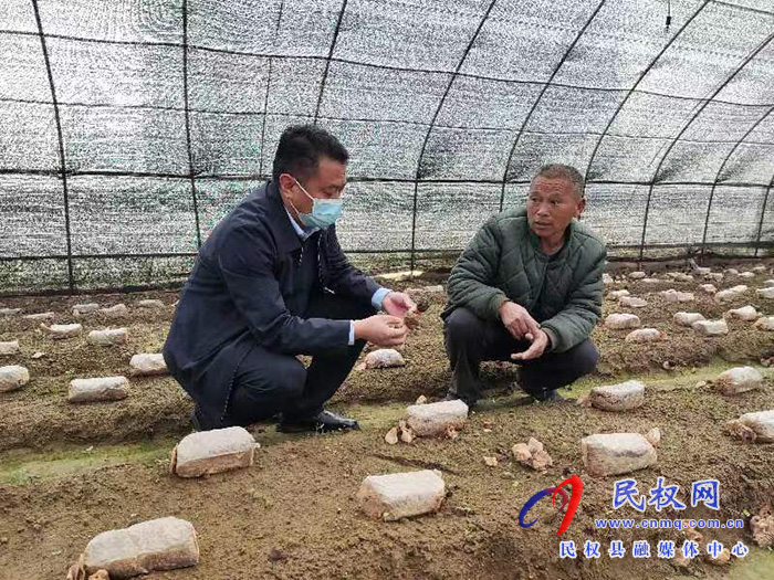 縣高新區(qū)管委會(huì)副主任張玉棟到龍?zhí)伶?zhèn)督導(dǎo)疫情防控、“三零創(chuàng)建”等重點(diǎn)工作