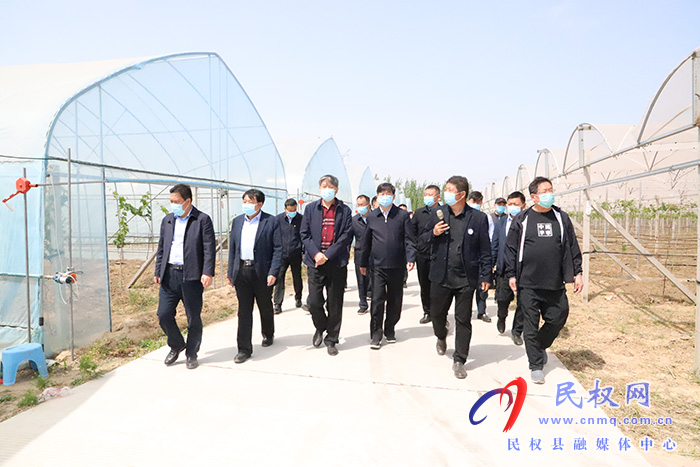 市政協(xié)主席曾昭寶蒞民調研科技特派員助力鄉(xiāng)村振興工作