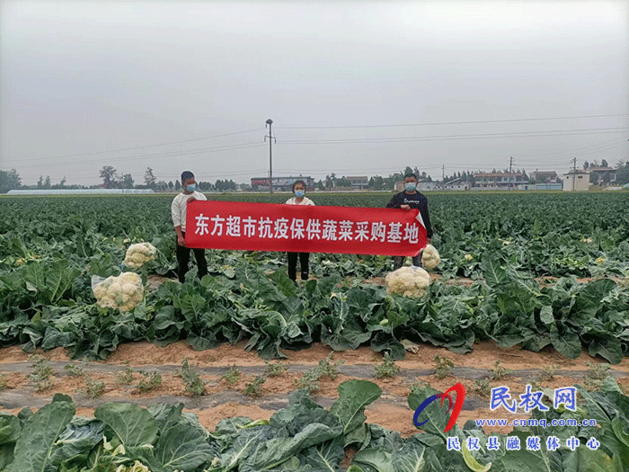 縣東方超市抗疫保供助力鄉(xiāng)村蔬菜銷(xiāo)售