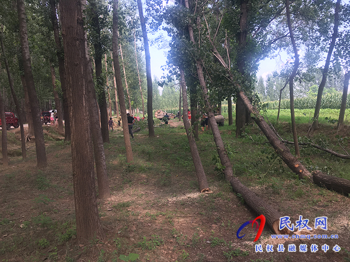 北關(guān)鎮(zhèn)：對(duì)“非農(nóng)化”“非糧化”耕地進(jìn)行平整
