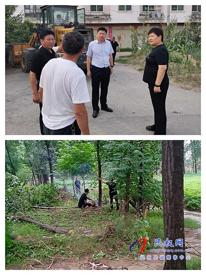王莊寨鎮(zhèn)：強(qiáng)力推動(dòng)違法違規(guī)占用耕地植樹造林整治工作