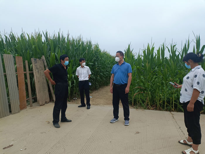 縣委常委、常務副縣長王景義在北關鎮(zhèn)督導疫情防控社會面管控和消殺工作