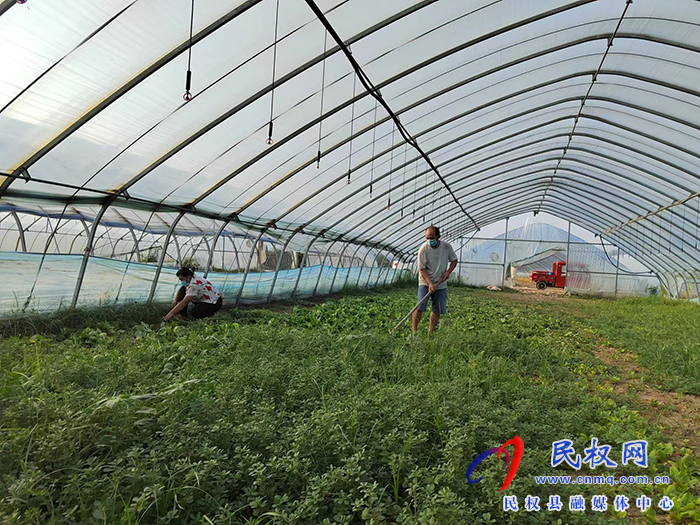 老顏集鄉(xiāng)：疫情防控不松懈 復工復產(chǎn)不誤時