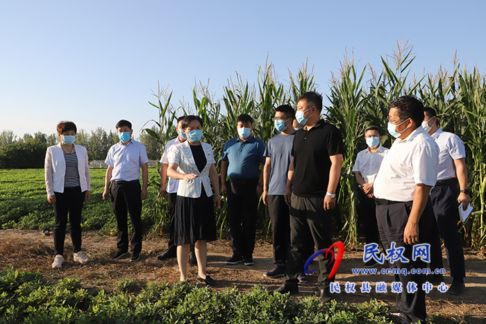縣委副書記、縣長王靜嫻查看抗旱保秋、農(nóng)村人居環(huán)境整治工作