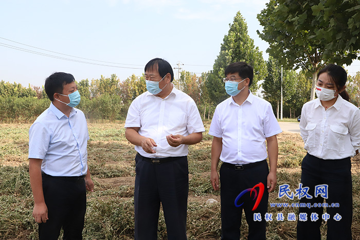 省農業(yè)農村廳副廳長王俊忠一行到民調研秋糧生產工作
