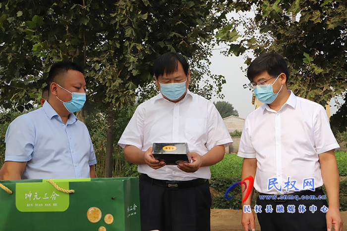 省農業(yè)農村廳副廳長王俊忠一行到民調研秋糧生產工作