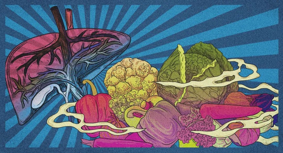 藿香正氣水是中暑特效藥？預制菜有害健康？8月“科學”流言榜來啦！