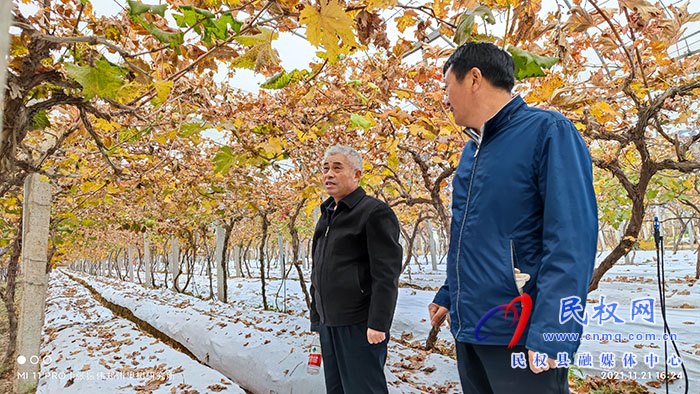 小菌菇 大能量——林下種植菌菇，助推鄉(xiāng)村振興