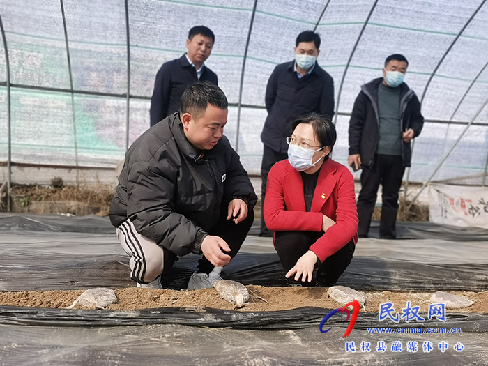 縣委副書記、縣長王靜嫻調(diào)研農(nóng)業(yè)產(chǎn)業(yè)化工作