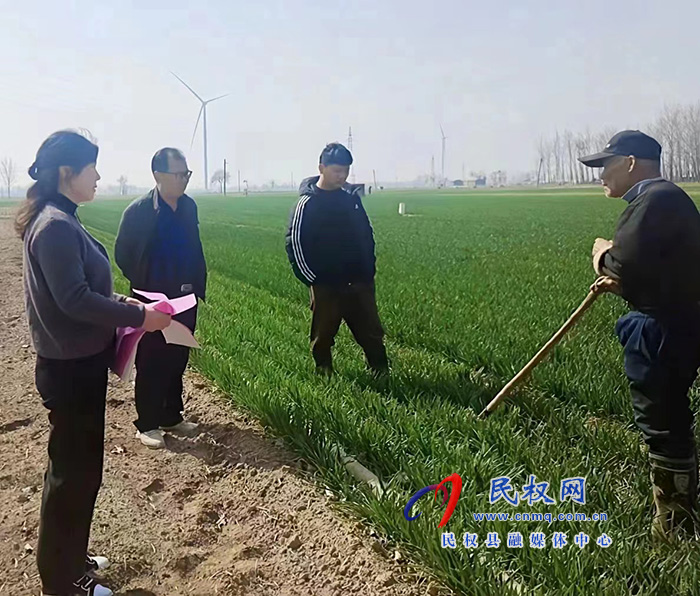 民權(quán)縣農(nóng)業(yè)農(nóng)村局開展小麥春季技術(shù)管理服務活動