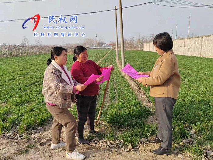 民權(quán)縣農(nóng)業(yè)農(nóng)村局開展小麥春季技術(shù)管理服務活動