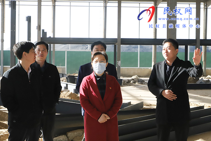 縣委副書記、縣長王靜嫻調(diào)研招商、城建項(xiàng)目建設(shè)工作