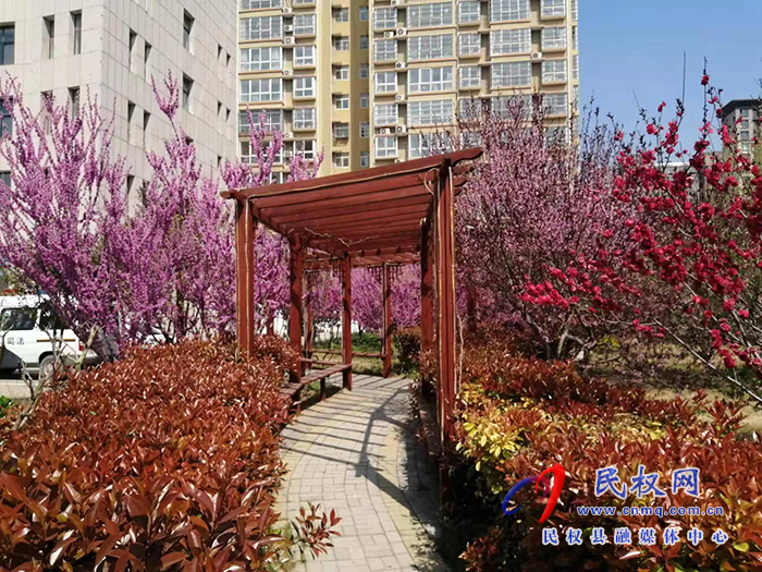 縣司法局：打造“花園式機關(guān)”  分享“綠色福利”