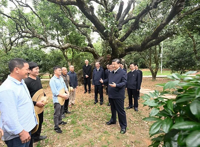 習(xí)近平怎么選調(diào)研對(duì)象？｜跟總書記學(xué)調(diào)研④
