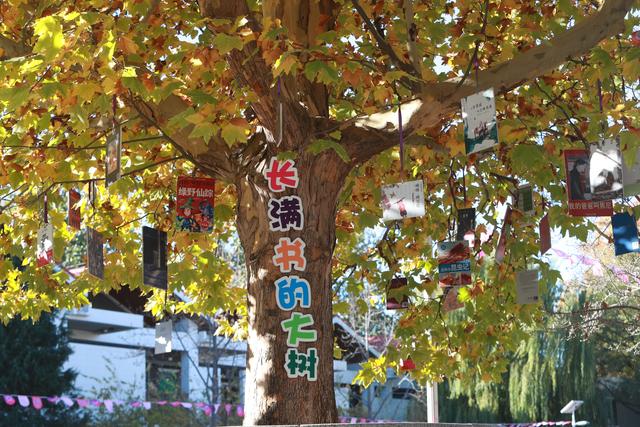 習近平總書記關切事｜書香滿中國