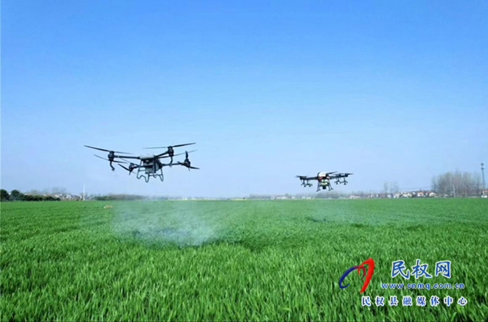王橋鎮(zhèn)：無人機(jī)賦能，助力小麥“一噴三防”
