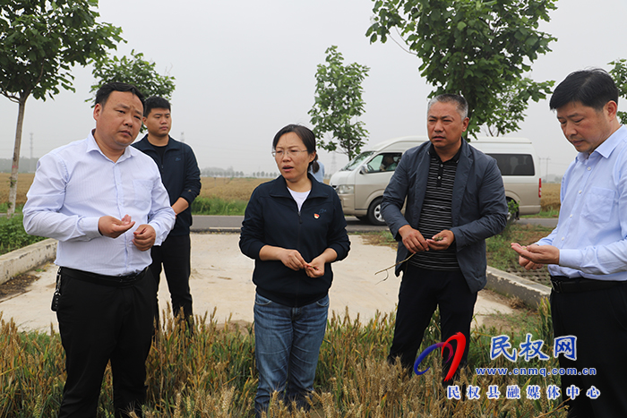 縣委書記、縣長王靜嫻查看小麥長勢調(diào)研“三夏”準(zhǔn)備工作