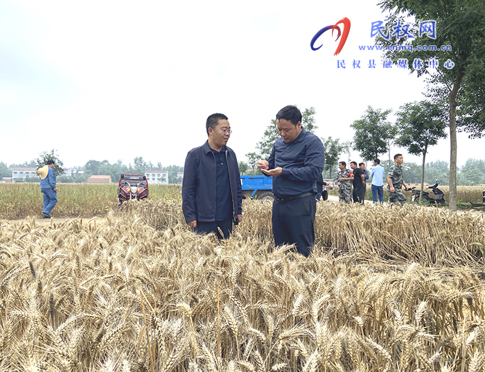 副縣長李衛(wèi)政到我縣部分鄉(xiāng)鎮(zhèn)督導“三夏”生產(chǎn)工作