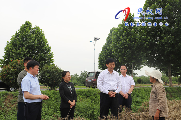 市委常委、常務(wù)副市長(zhǎng)薛鳳林到民調(diào)研“三夏”生產(chǎn)工作及高考考務(wù)工作