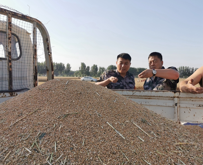 莊子鎮(zhèn)：慰問跨區(qū)作業(yè)機(jī)手，真情服務(wù)“三夏”農(nóng)忙