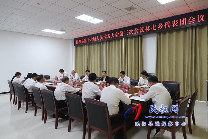 縣委書記、縣長王靜嫻參加林七鄉(xiāng)代表團審議