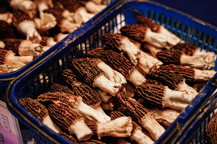 發(fā)展林下食用菌經濟打造鄉(xiāng)村振興新引擎