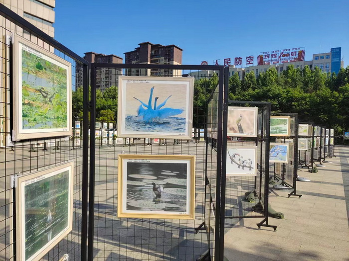 奮進(jìn)民權(quán)·擁抱未來 2024民權(quán)文旅市集暨大美民權(quán)藝術(shù)攝影展系列活動(dòng)舉行